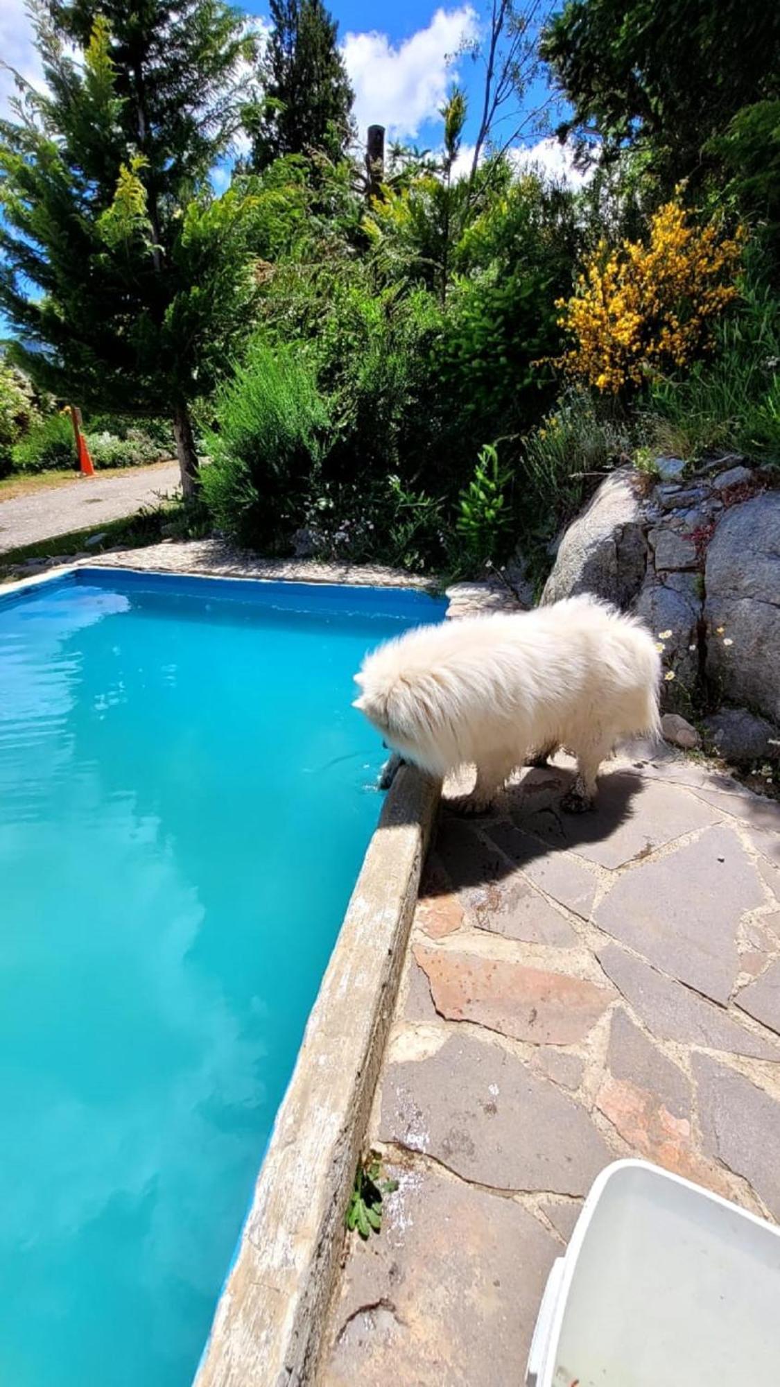 El Mirador Casa Arroyo Villa San Carlos de Bariloche Dış mekan fotoğraf