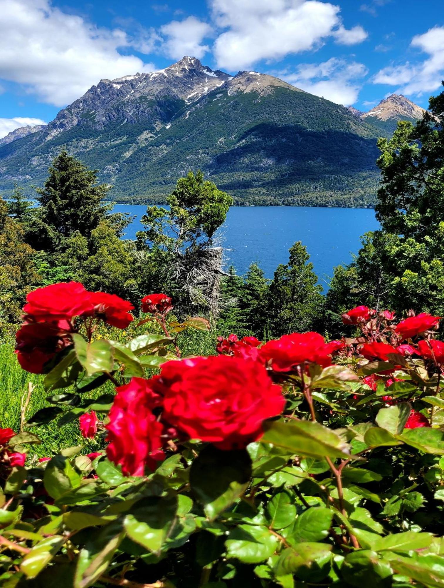 El Mirador Casa Arroyo Villa San Carlos de Bariloche Dış mekan fotoğraf